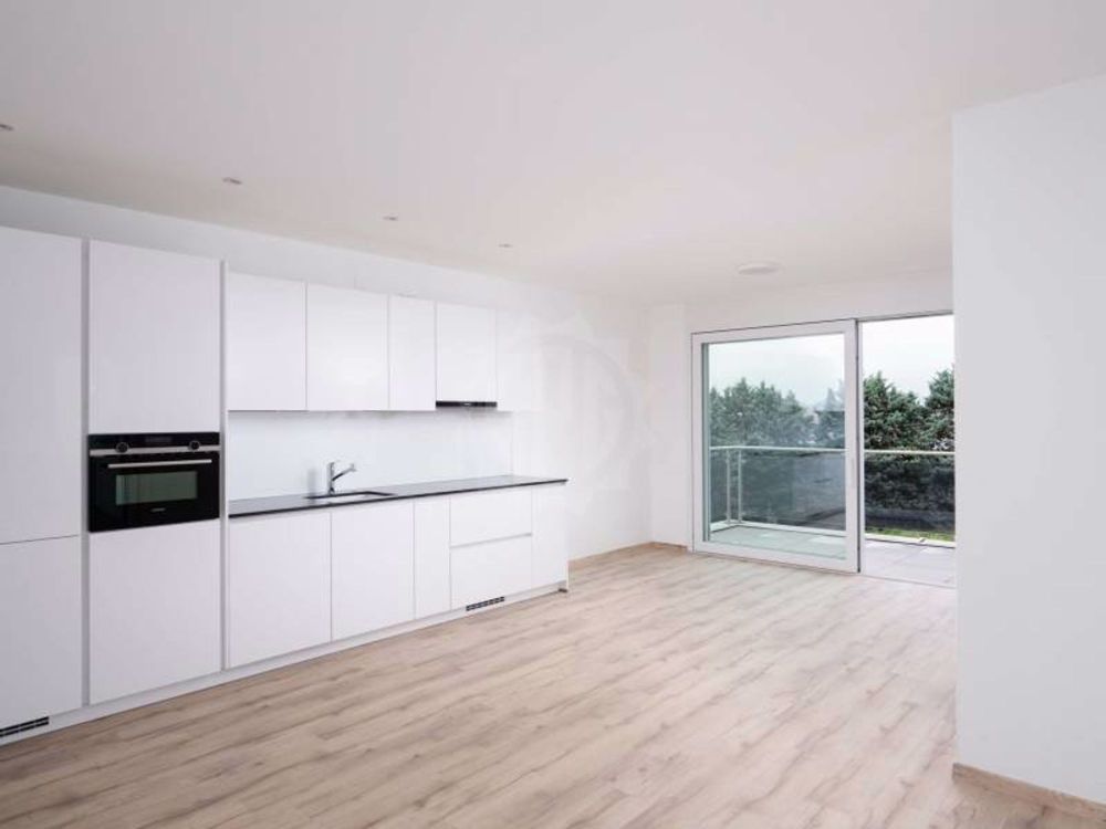 5 Zimmer-Wohnung in Grand-Lancy mieten - Bild 2