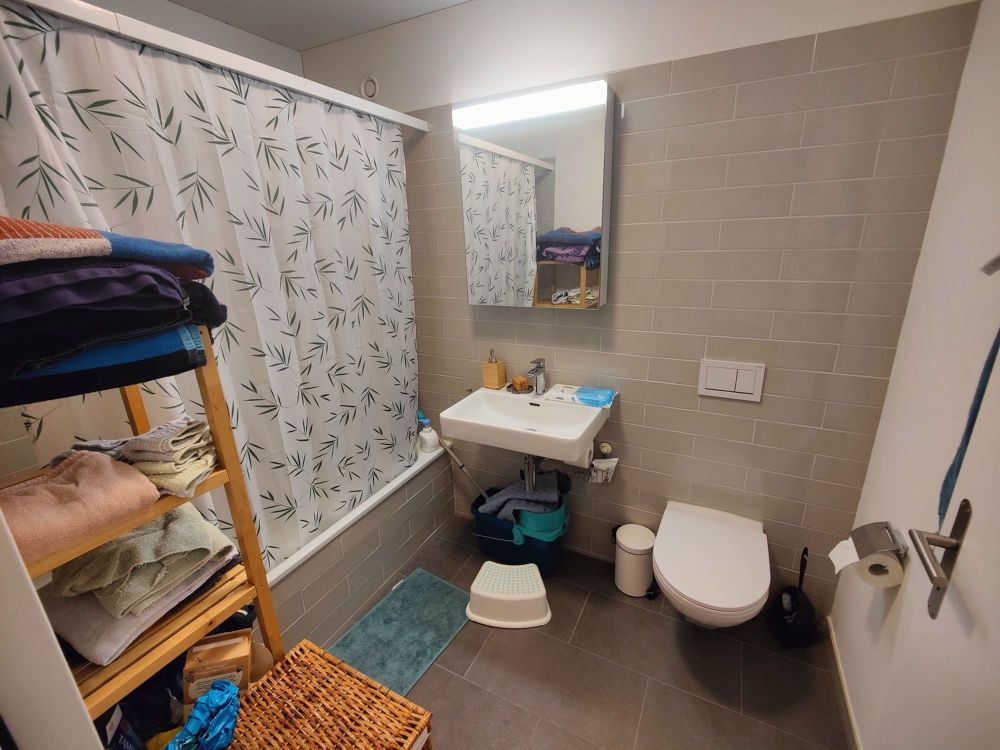 Grosszügige, helle und preiswerte 4.5 Zimmer Familienwohnung im Neubau im Zentrum von Regensdorf - Bild 9