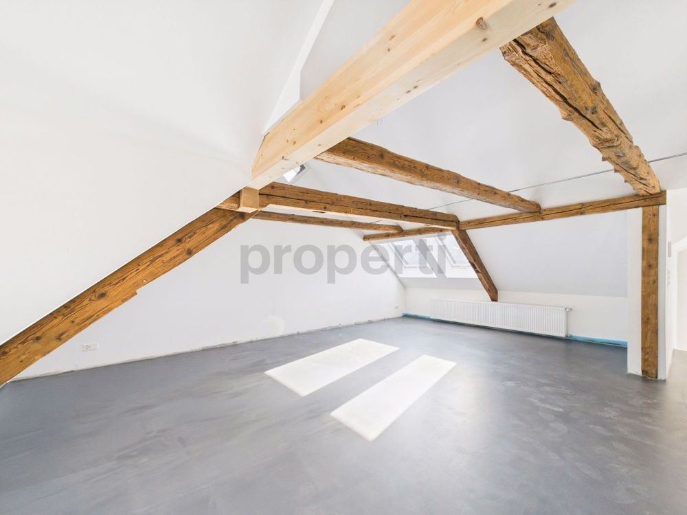 Hochwertiges Loft mit atemberaubender Aussicht in Lichtensteig, Kanton SG - Erstvermietung nach Kernsanierung - Image 4