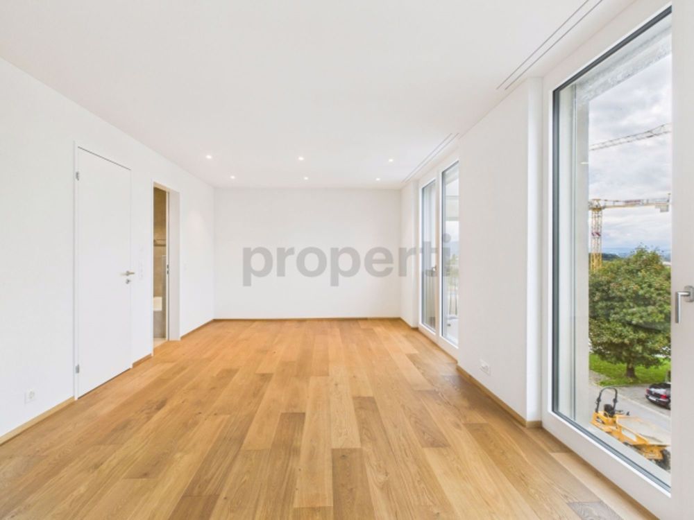 Modernes Wohnen im Herzen von Root – 4.5 Zimmer Neubauwohnung mit Stil und Komfort - Bild 6