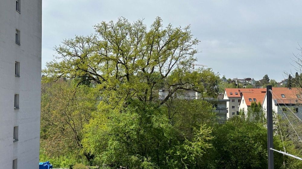 Exklusive Erstvermietung: Stilvolle 2.5-Zimmer-Wohnung mit zwei Loggias - Bild 3