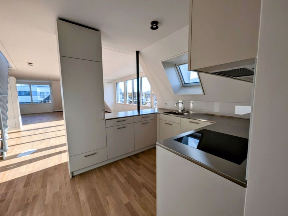 Exklusive Loftwohnung mit privatem Liftzugang & 40m2 Dachterrasse - Luxus über den Dächern von Zürich - Bild 4