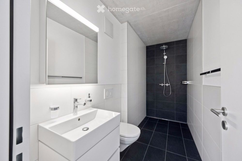 Erstbezug 5.5-Room Duplex Wohnung - Bild 8