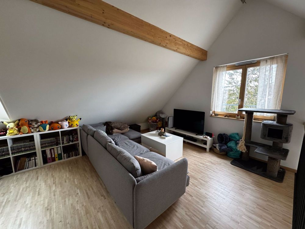 3 ½ Zimmer-Wohnung in allens mieten - Bild 3