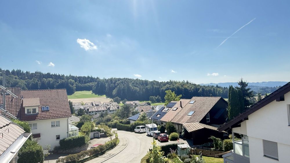 Erstvermietung Moderne 4,5-Zimmerwohnung an ruhiger und sonniger Lage - Aussicht
