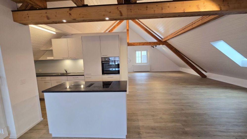 Exklusives Loft Wohnung in Thayngen - Bild 10