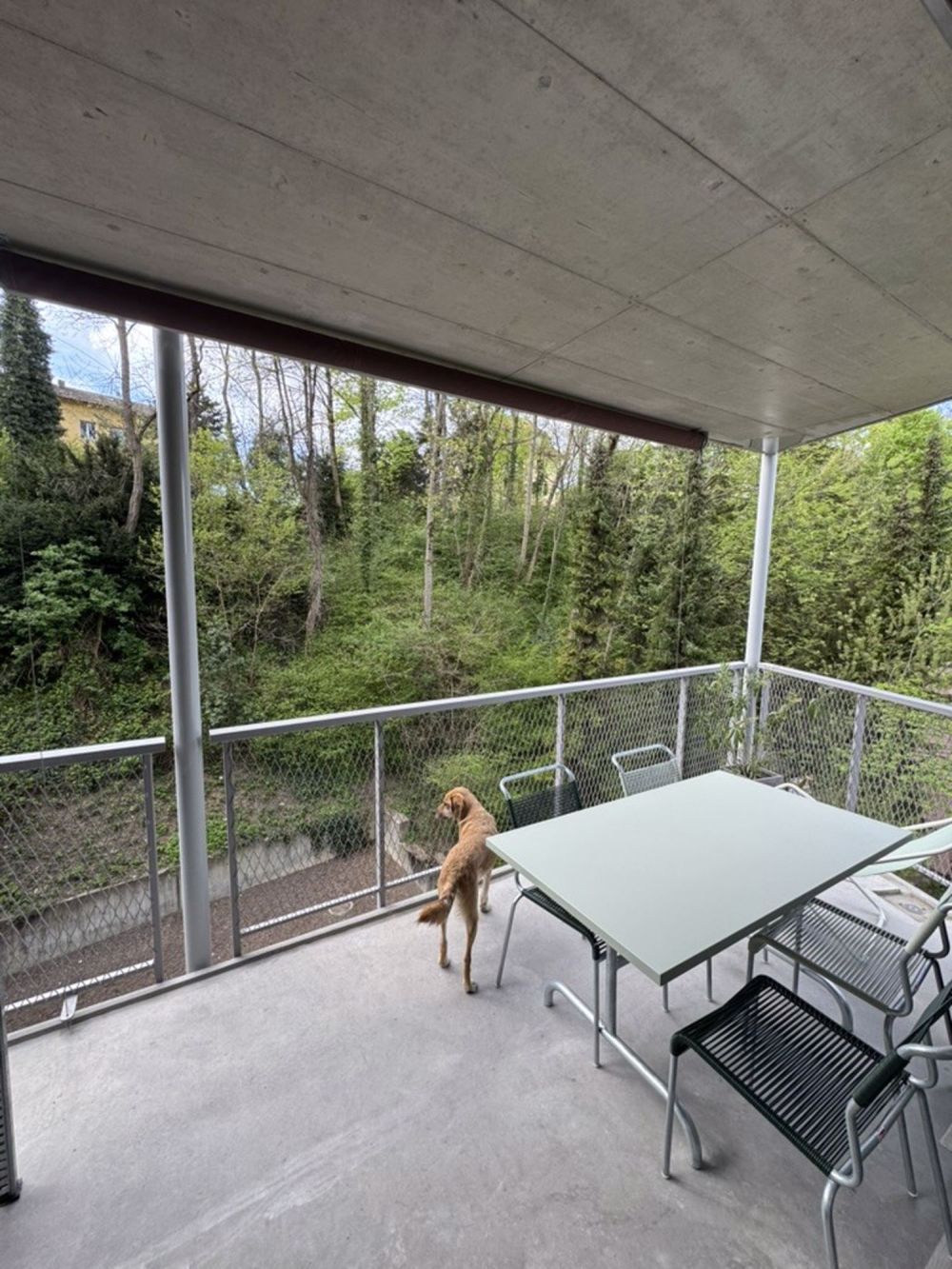 3 ½ Zimmer-Wohnung in Zürich mieten - Bild 4