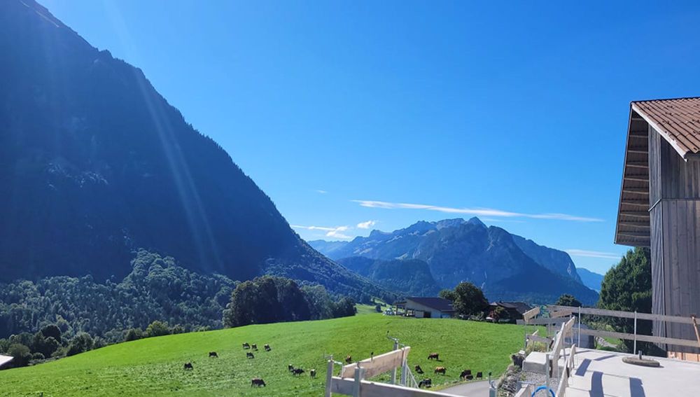 ERSTVERMIETUNG / Erdgeschosswohnung mit grosser Terrasse in sonniger und ruhiger Wohnlage - Bild 8