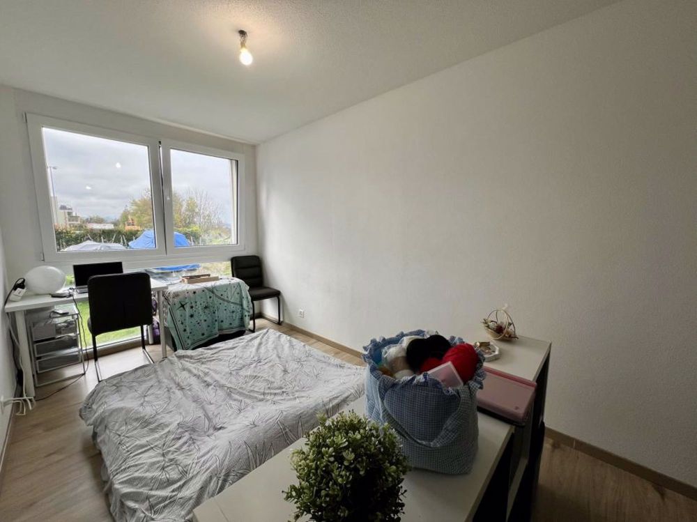 Wohnung mit 1.5 Zimmern im 1. Stock - Bild 2