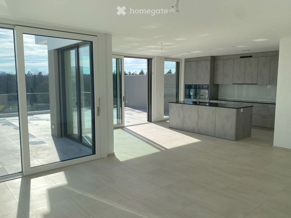 Lichtdurchflutete 3.5 Zi-Attikawohnung mit grosser Süd-Terrasse - Bild 2