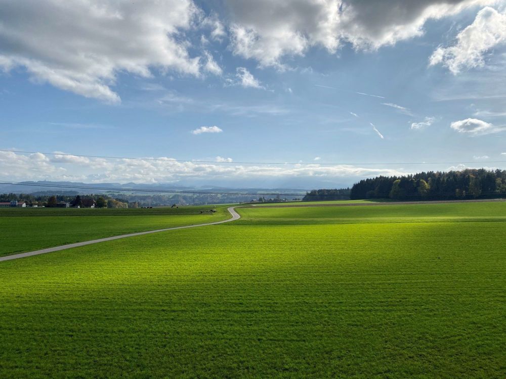 4.5-ZWG mit riesigen privaten Gartensitzplatz und top Aussicht! - Bild 10