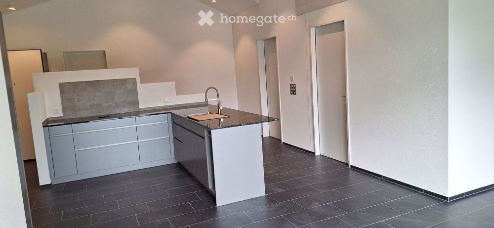 NEUBAU- Helle, grosszügige 4.5 Zimmer Dachwohnung - Bild 4