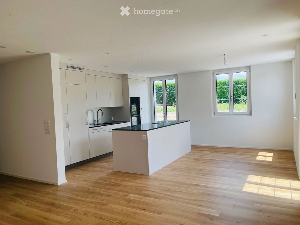 Nigelnagelneues Landhaus mit Parkplätzen und kleinem Park, 15 Autominuten vom Bellevue ZH entfernt - Bild 5