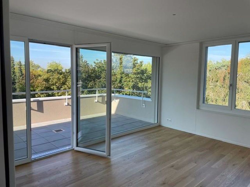 Attikatraum - 3½-Zimmerwohnung mit 65m2 grosser Terrasse - Bild 4