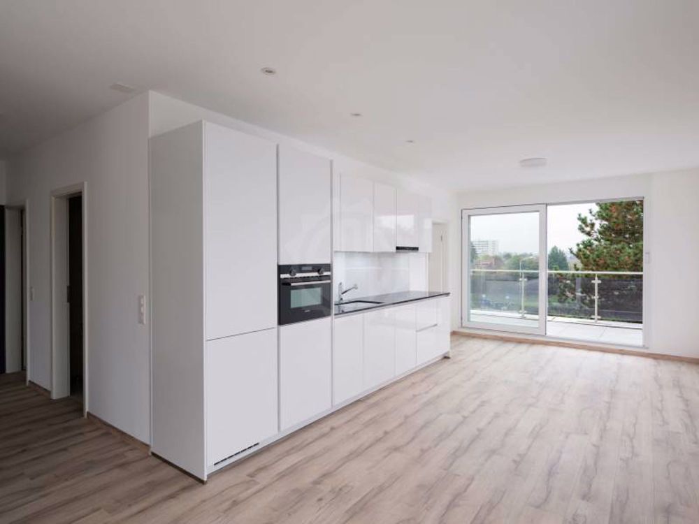 Helles Apartment - Grand-Lancy - Bild 5