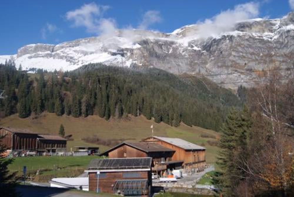 2,5 Zimmer-Wohnung mit Pistenanschluss in Flims Dorf zu vermieten - Bild 3