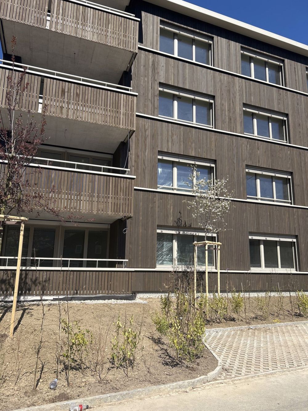 WG Zimmer in Nussbaumen mieten - Bild 3