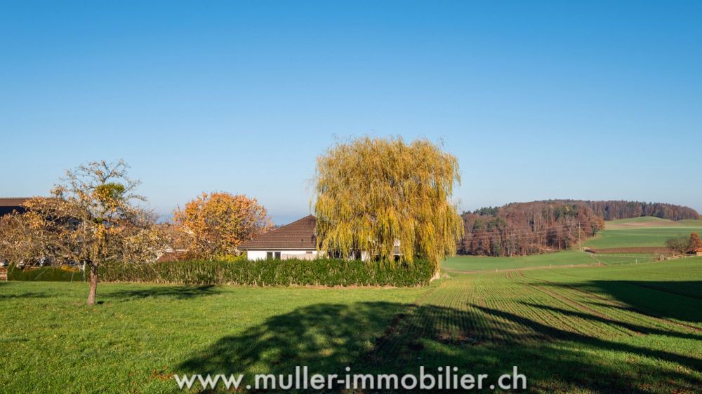 Domespace "modèle familial" - votre maison qui s'adapte au soleil ! - Bild 11