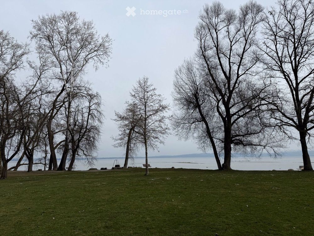 3 1/2 Zimmer-Dachwohnung - Neubau am bodensee - naturverbunden - modern - zentral - neu - Bild 3