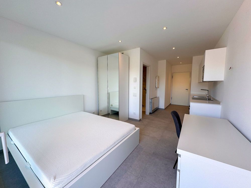 Moderne möblierte Einzimmerwohnung nahe dem USI/SUPSI-Campus - Bild 6