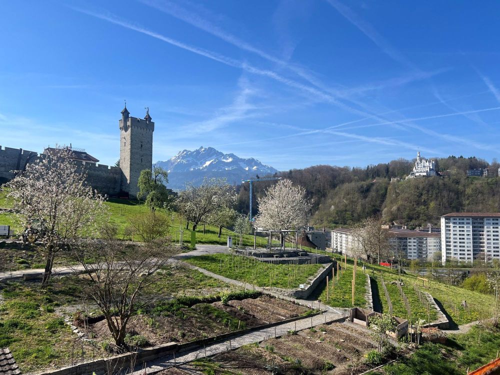 Exklusive 3.5 Zimmer-Attika-Neubauwohnungen in der Stadt Luzern - Bild 1