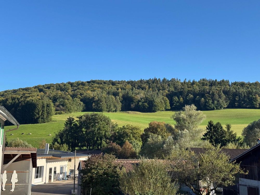 Wohnung 2.5 Zimmer in Develier mit Terrasse - Bild 7