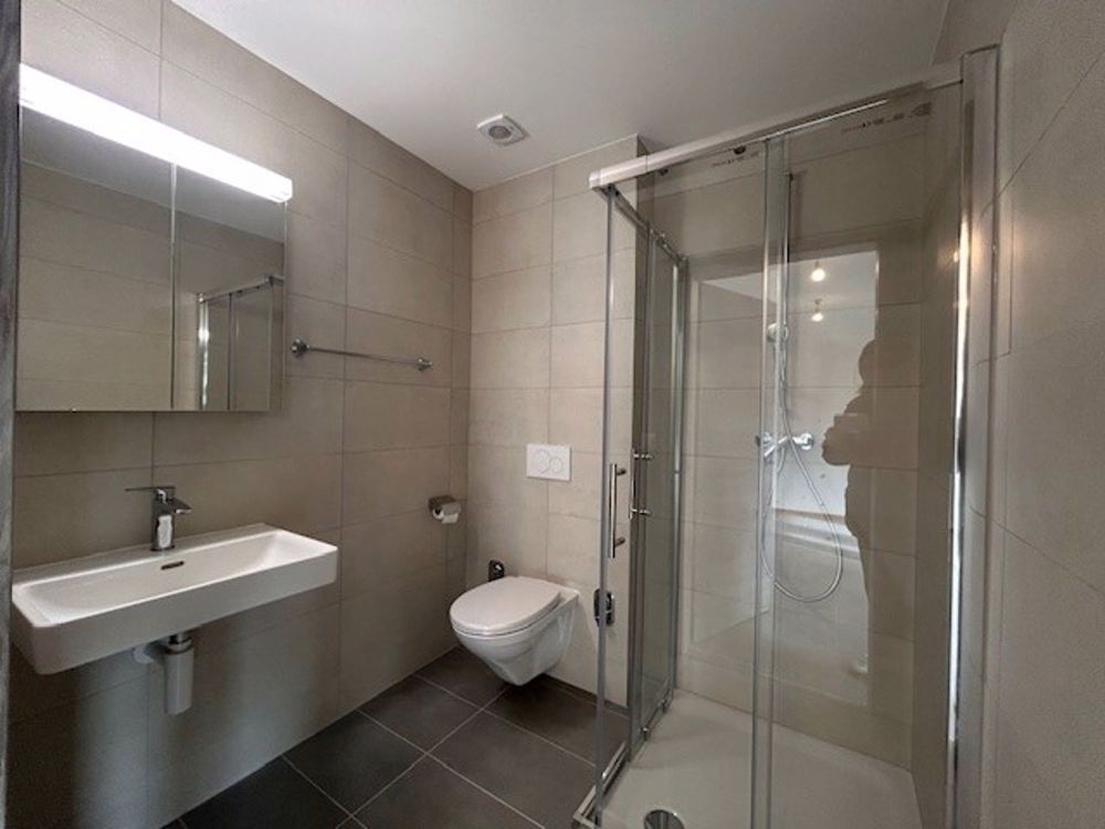 Nouvelle construction - Magnifique studios & 2.5 pièces - sdd.jpg