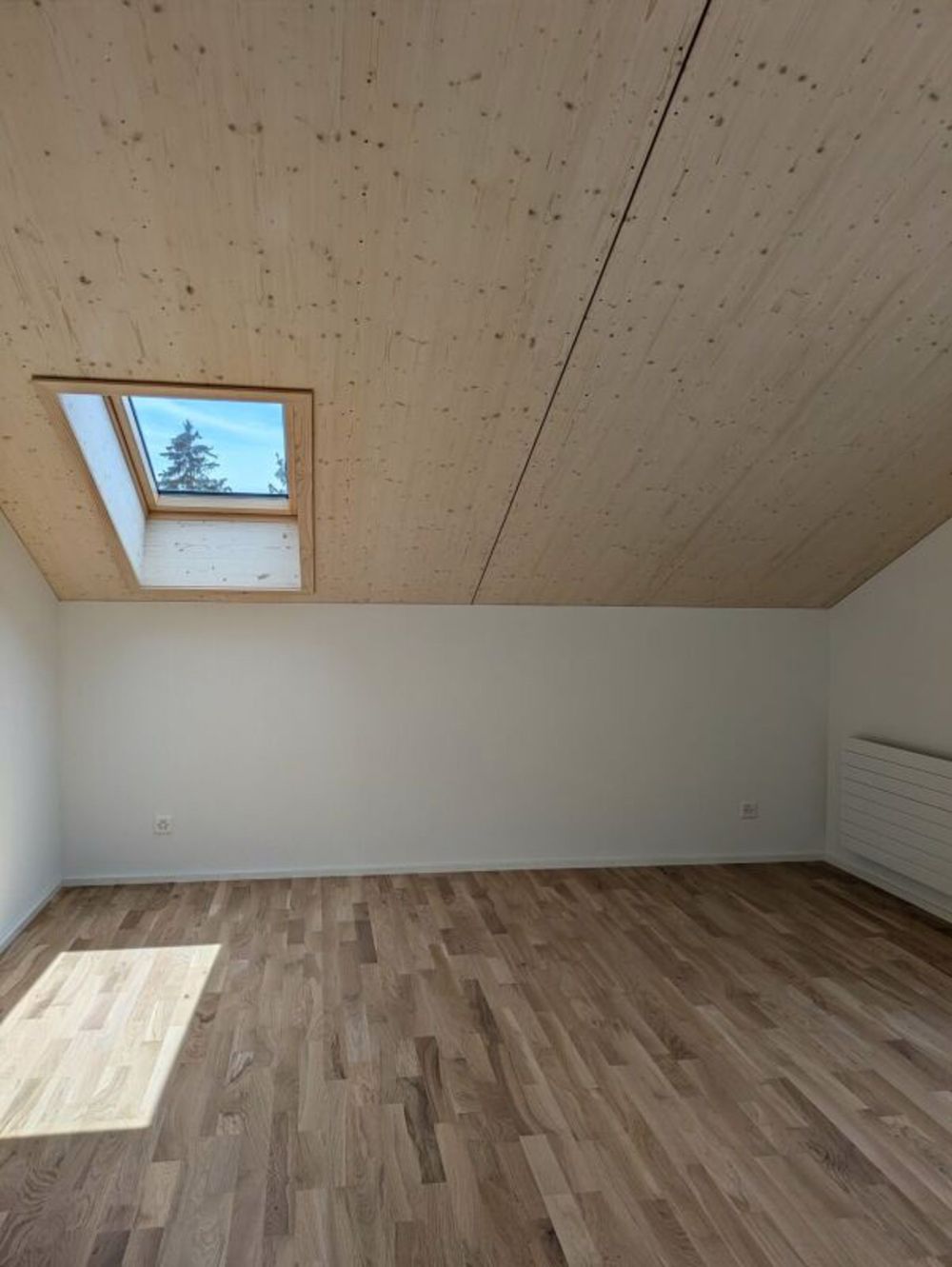 2.5- Zimmerwohnung über den Dächern! - Bild 6