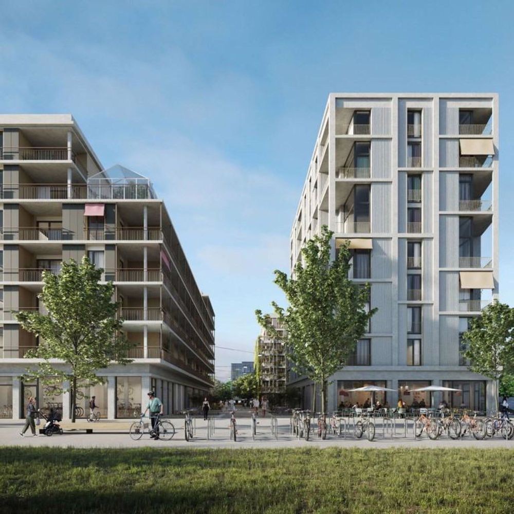 5.5 Zimmerwohnung in Zollikofen - Bild 6