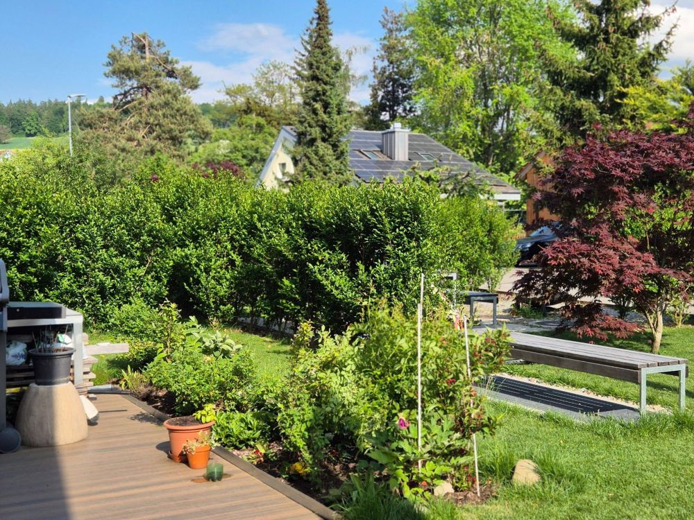 Grosszügige 5.5-Zimmer-Gartenwohnung - Bild 10
