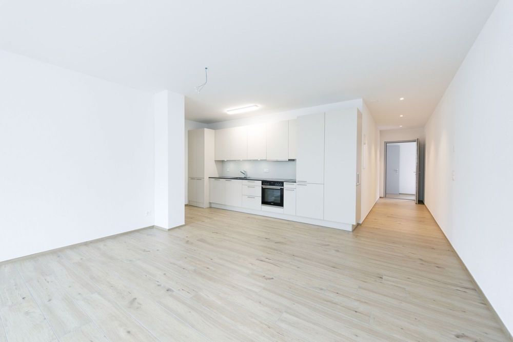 Top moderne Neubau im Herzen von Oberentfelden - Bild 5