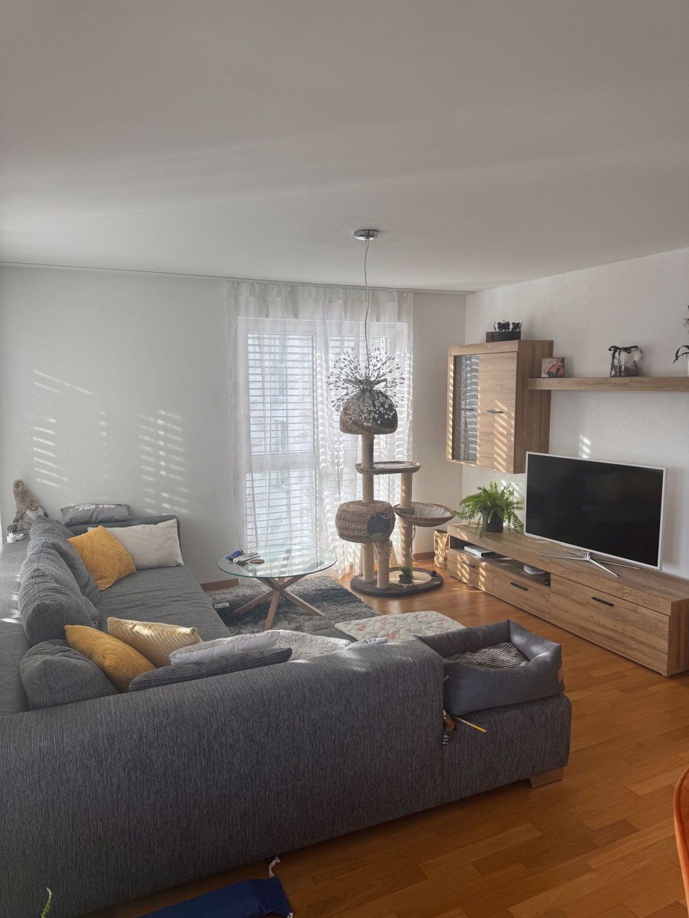 Lichtdurchflutete 4½-Zimmer-Wohnung mit Balkon und Panoramablick - Bild 2