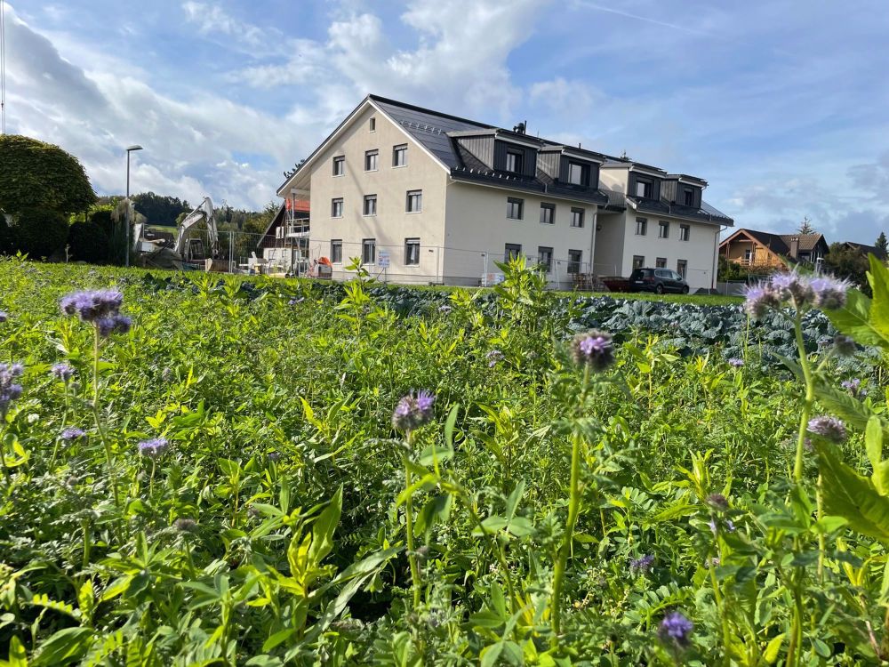 Erstbezug: Wohntraum für Familie (gesund, nachhaltig, modern) - Bild 13