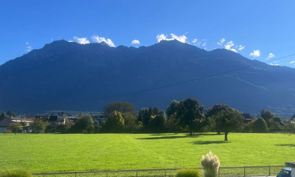 Erstvermietung - 1 Zimmerwohnung mit grosszügiger Terrasse - Bild 2