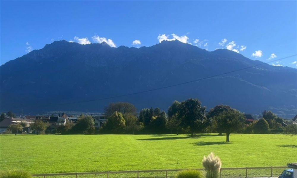 Erstvermietung - 1 Zimmerwohnung mit grosszügiger Terrasse - Bild 1