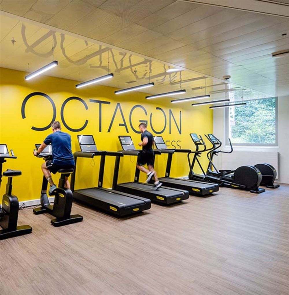 Renoviertes Studio in der Nähe von Nations, Palexpo und Genf Flughafen - Bild 9