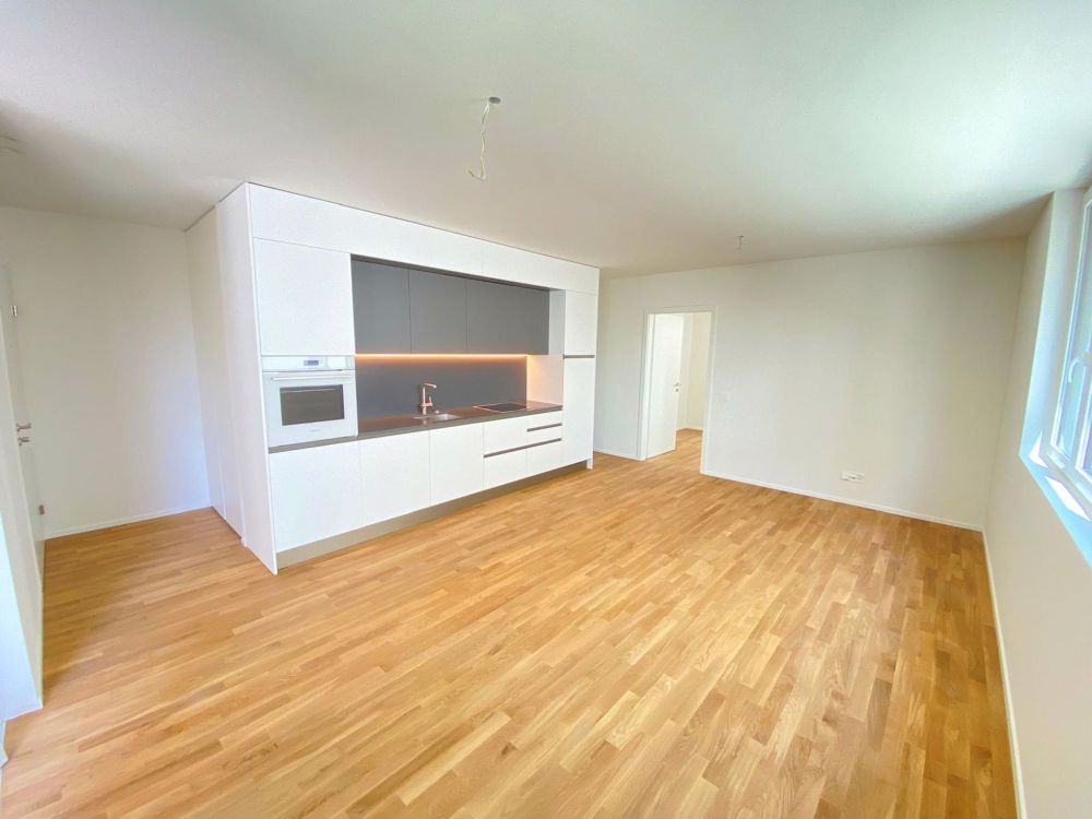 AFFITTASI NUOVO APPARTAMENTO A LOCARNO 2.5 - Bild 1