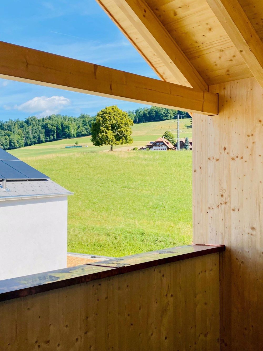 Exklusive 3.5-Zimmer-Dachwohnung mit Alpensicht - Erstbezug per 1. November 2025 - Bild 10