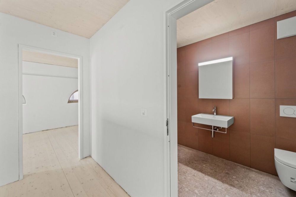 Design trifft Geschichte - exklusive, doppelstöckige Wohnung im Spinnereiareal (Erstbezug) - Bild 8