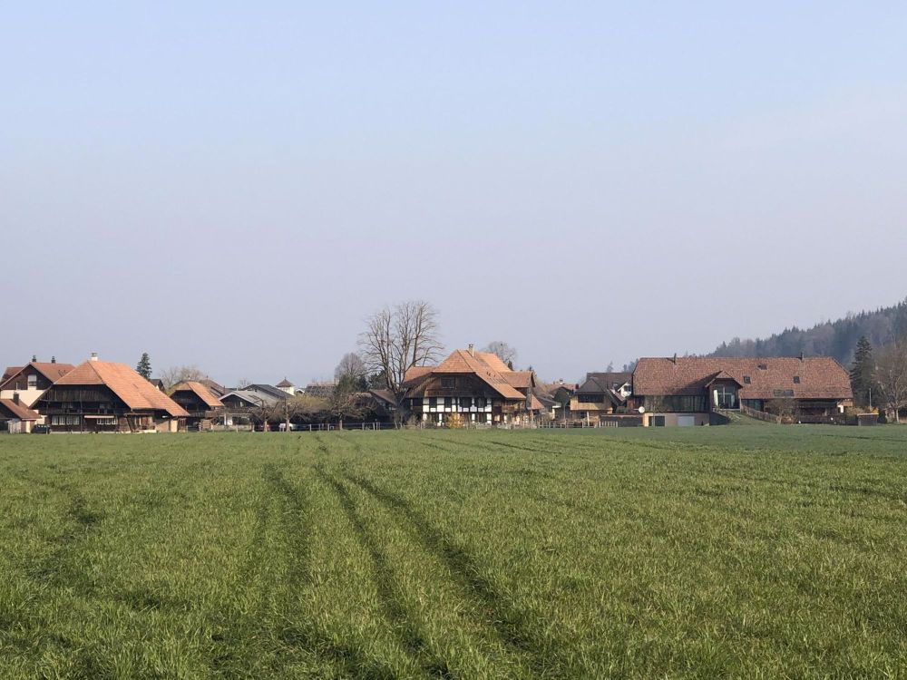 Frisch sanierte Wohnung in Kiesen - Bild 6