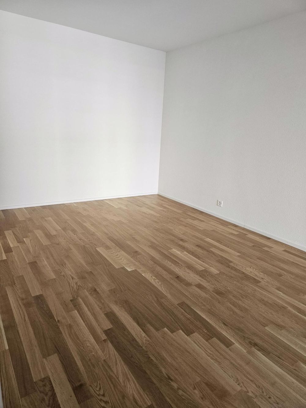 Superbes Apartment mit Rahmen - Bild 4