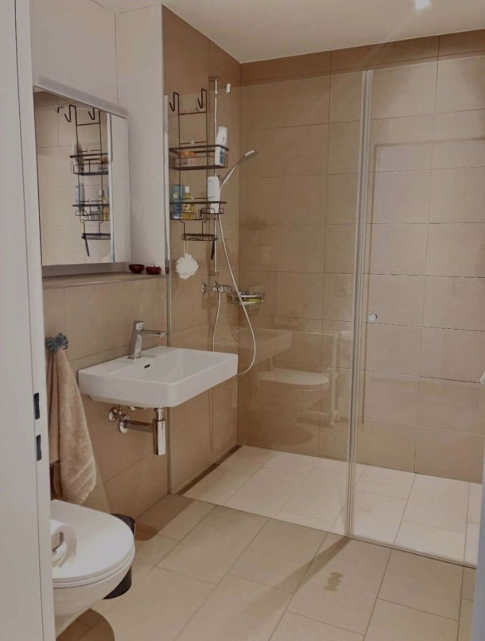Neubau - 3.5 Zimmer-Wohnung "am Bach - WC/Dusche