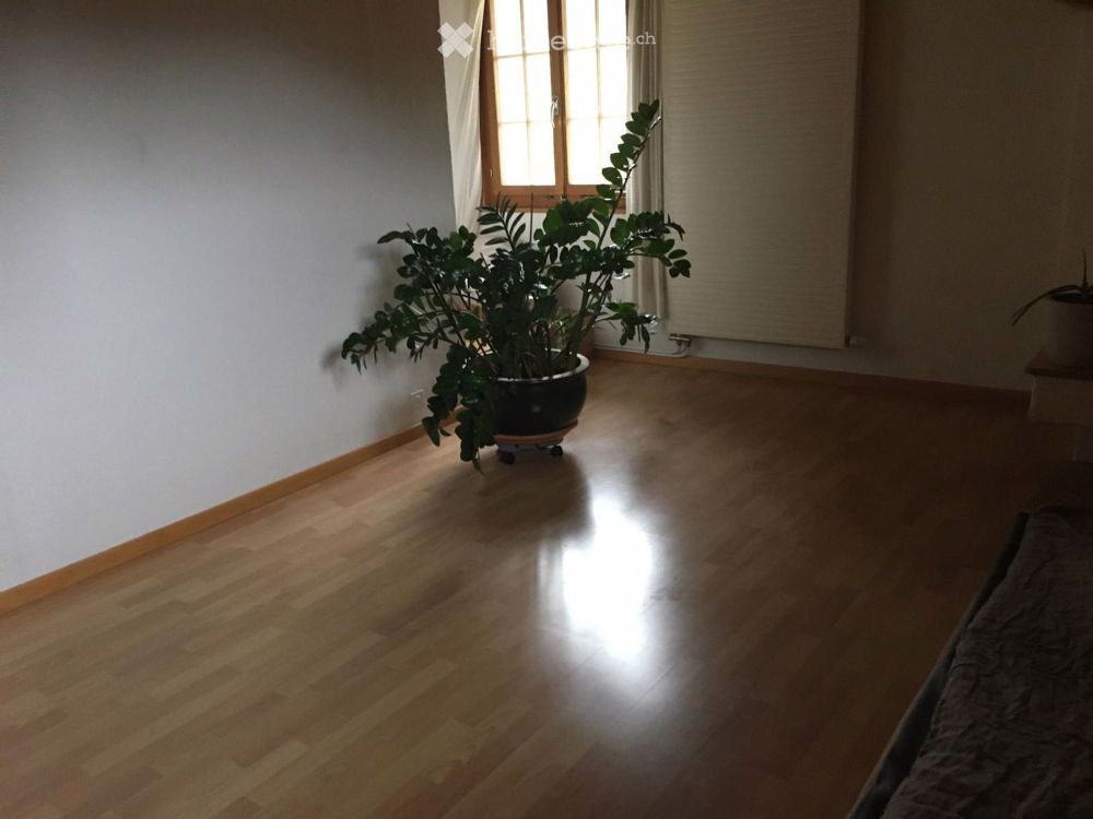 Hausteil zweistöckig mit Herz: 2½-Zimmer mit Garten für naturverbundenen Paare oder Singles - Bild 7