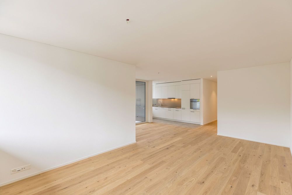Kappelerhof Baden - grosszügig und neuwertig Wohnen - Wohnzimmer