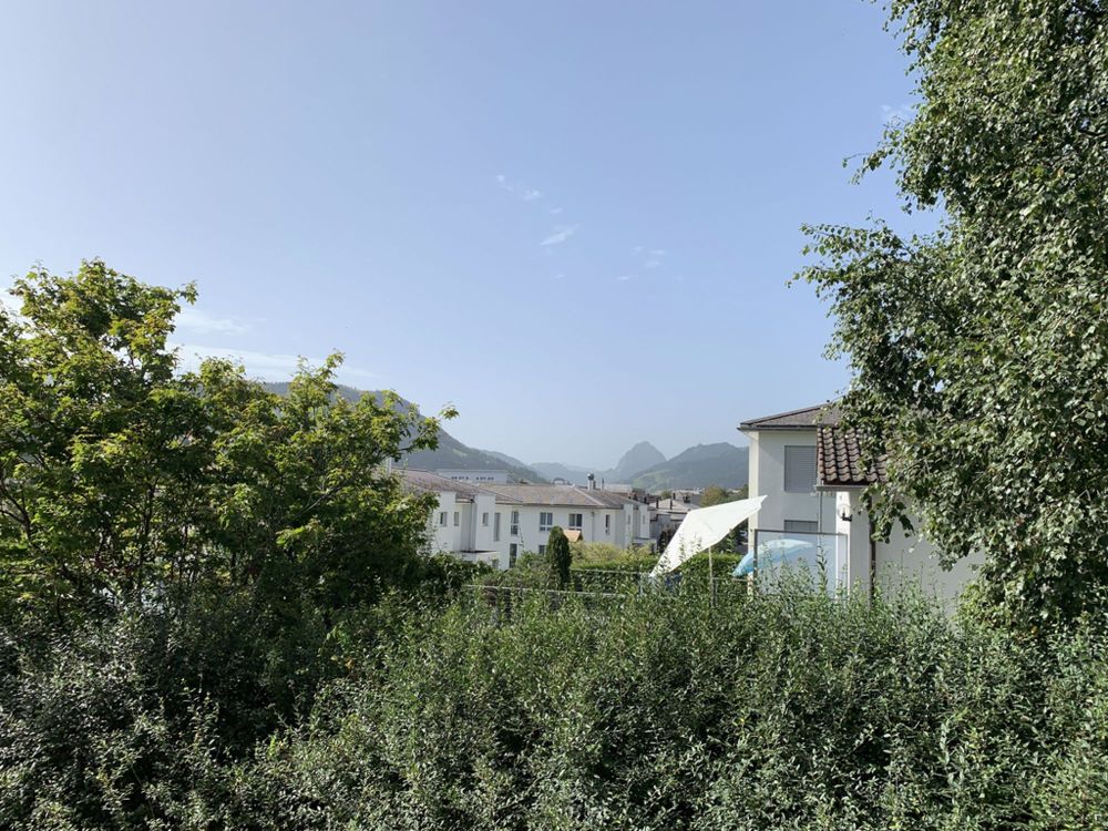 Zentrumsnahe Wohnung in ruhigem Wohnquartier - Aussicht