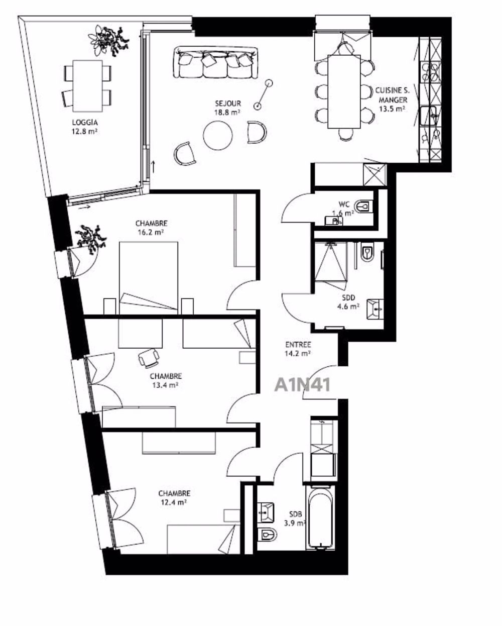 Moderne und geräumige Wohnung - Grundriss