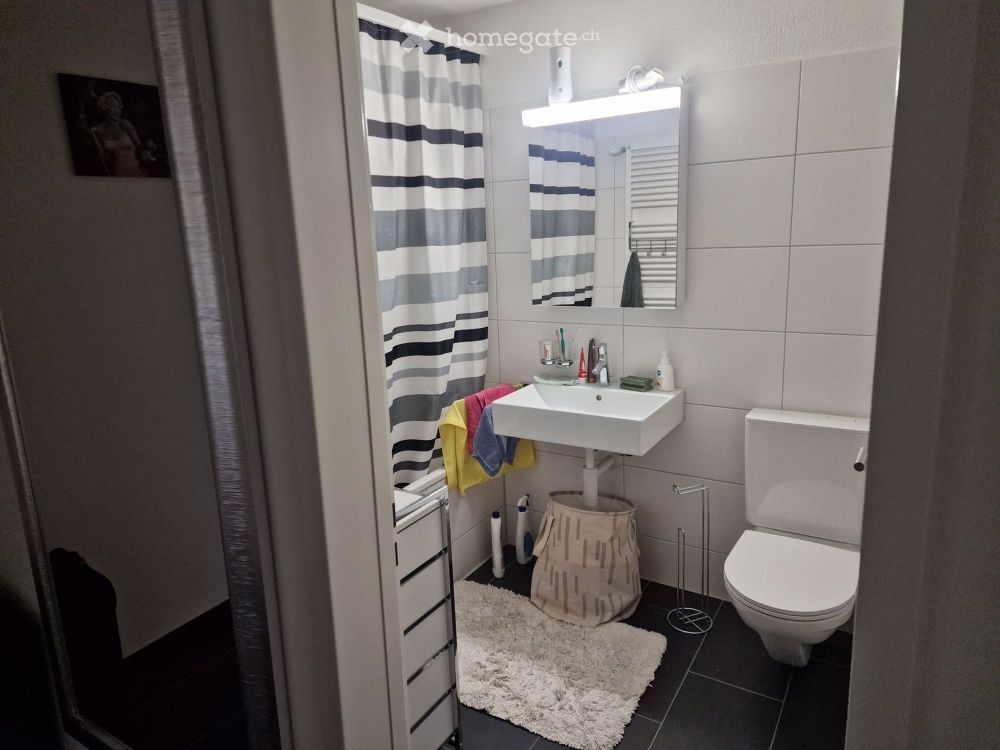 Modernes 2.5-Zimmer-Apartment mit Balkon in Wallisellen - Bild 2