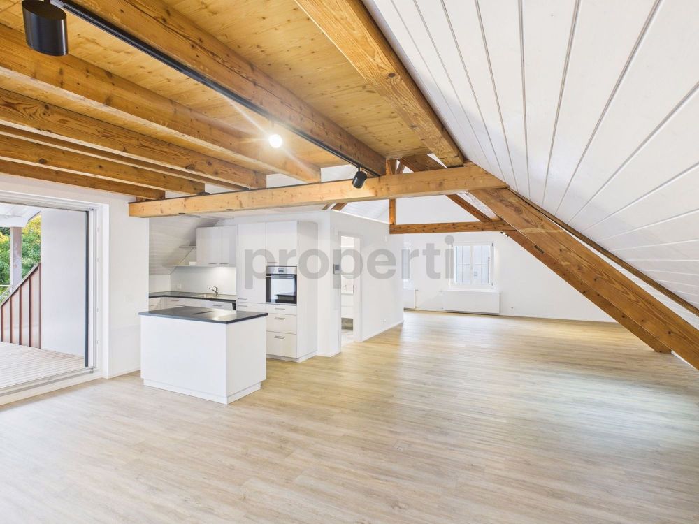 Exklusive Loftwohnung mit Galerie Wohnen auf höchstem Niveau in Thayngen - Bild 1