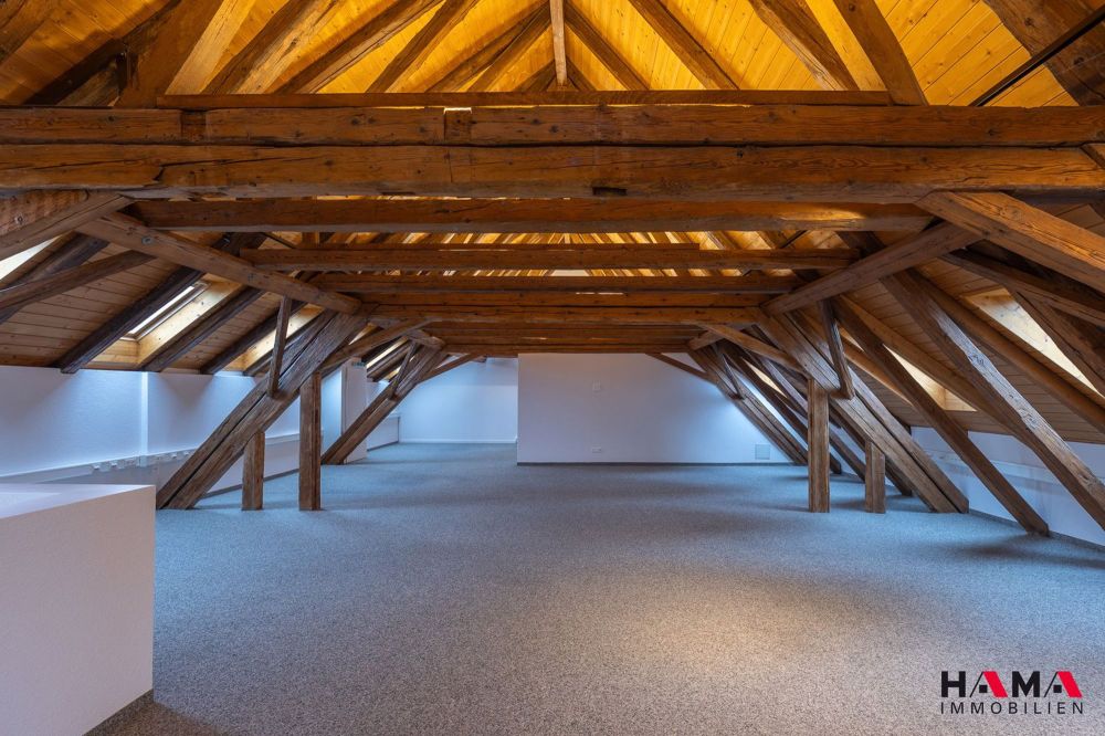 ERSTVERMIETUNG 5.5-Zimmer-Loft-Wohnung in Oftringen - Bild 2