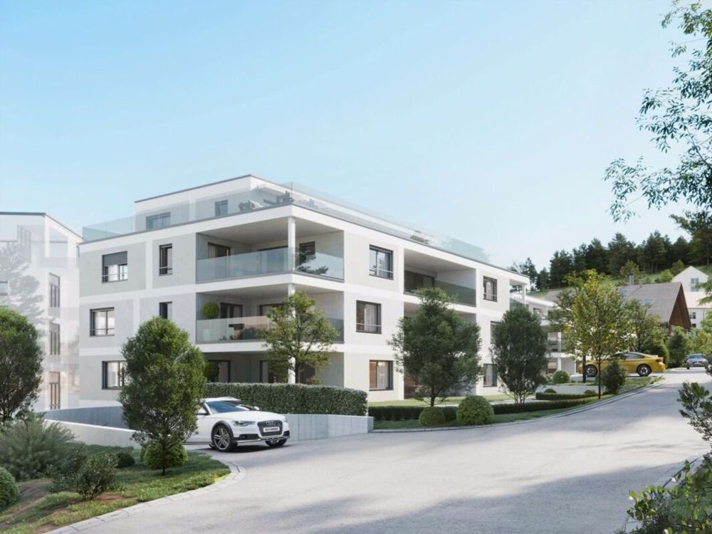 3 ½ Zimmer-Attikawohnung in Zeihen mieten - Bild 9
